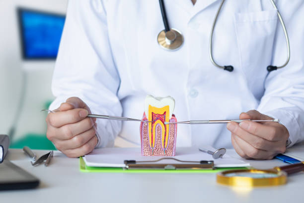 Best Broken or Chipped Tooth Repair in Three Rivers, OR